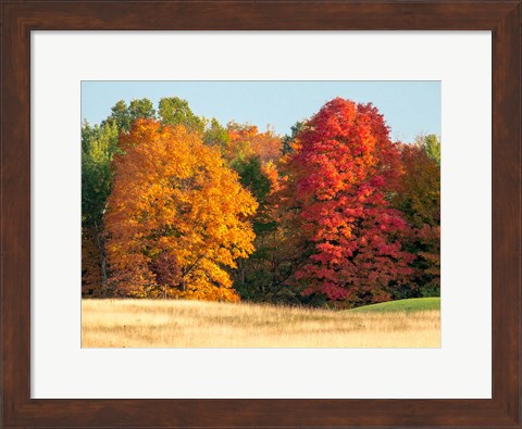 Framed Autumn In The Upper Peninsula Of The Hiawatha National Forest Print