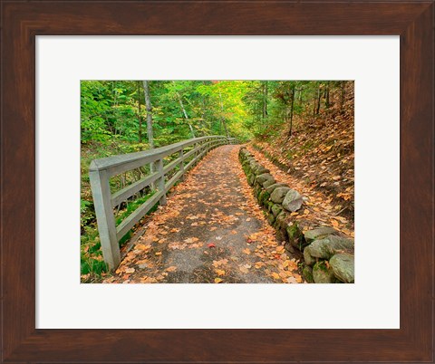Framed Autumn Trail Leading To Munising Falls Print