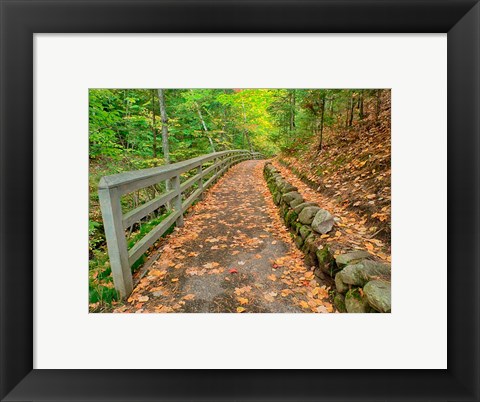 Framed Autumn Trail Leading To Munising Falls Print