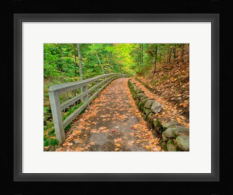 Framed Autumn Trail Leading To Munising Falls Print