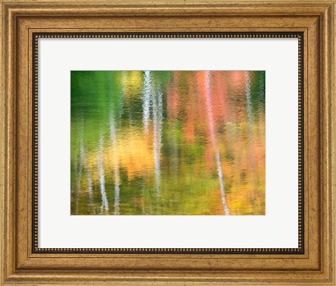 Framed Panned Motion Blur Of An Autumn Woodland Reflection Print