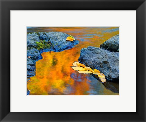 Framed Michigan, Upper Peninsula Fall Colors Reflecting In River With Leaves Floating Print