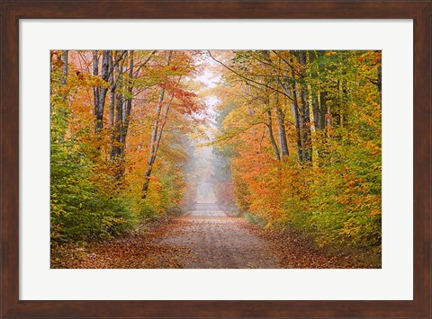 Framed Autumn Road In Schoolcraft County, Michigan Print