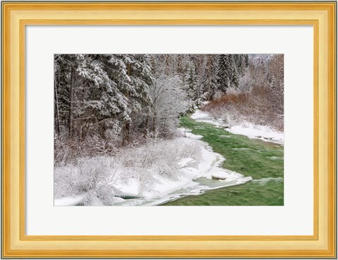 Framed Coal Creek In The Winter, Montana Print