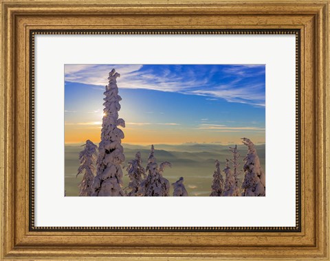 Framed Snowghosts In Whitefish, Montana Print