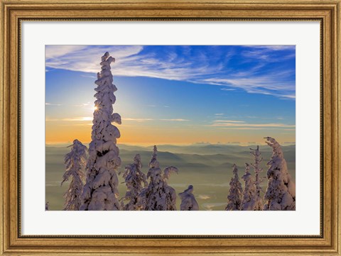 Framed Snowghosts In Whitefish, Montana Print