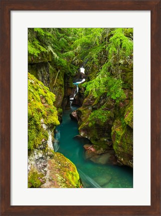 Framed Avalanche Creek, Glacier National Park, Montana Print