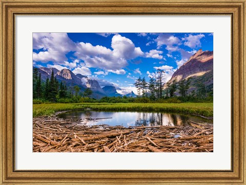 Framed Driftwood And Pond, Saint Mary Lake, Glacier National Park, Montana Print