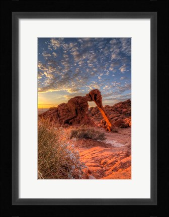 Framed Elephant Rock, Valley Of Fire State Park, Nevada Print