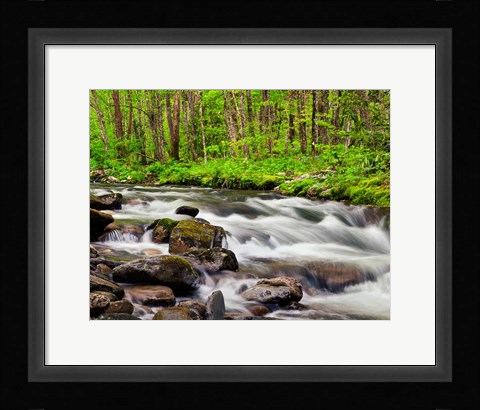 Framed Water Flows At Straight Fork, North Carolina Print