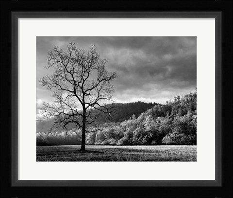 Framed Storm Clearing At Dawn In Cataloochee Valley, North Carolina (BW) Print