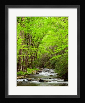 Framed Straight Fork River, North Carolina Print