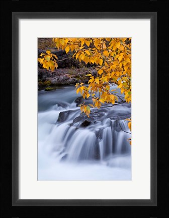 Framed Rogue River Waterfalls In Autumn, Oregon Print