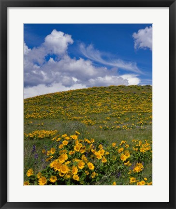 Framed Rowena Plateau Landscape, Oregon Print
