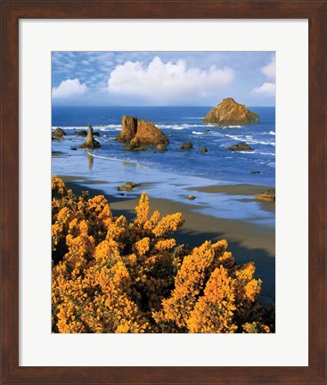 Framed Rocky Coastline Of Oregon Print