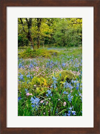 Framed Wildflowers In Camassia Natural Area, Oregon Print