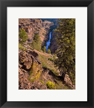 Framed Deschutes Canyon Landscape, Oregon Print