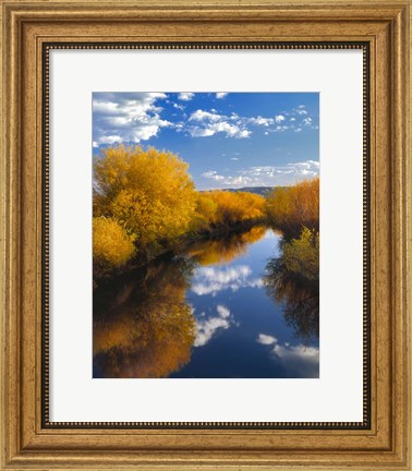 Framed Donner And Blitzen River Landscape, Oregon Print