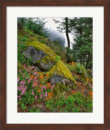 Framed Scenic View Of Mt Hood National Forest, Oregon Print