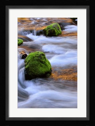 Framed Mckenzie River Flowing Over Moss-Covered Rocks, Oregon Print