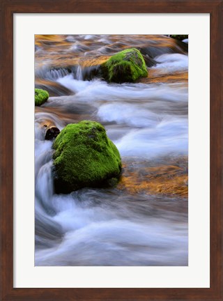 Framed Mckenzie River Flowing Over Moss-Covered Rocks, Oregon Print