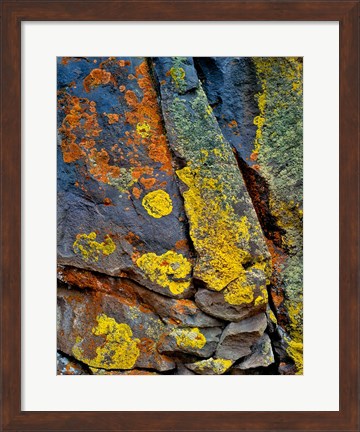 Framed Lichen Covered Basalt Rock, Oregon Print