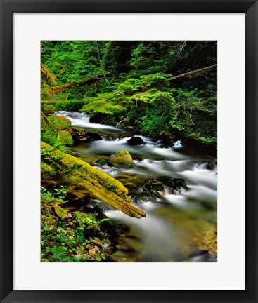 Framed Still Creek, Oregon Print