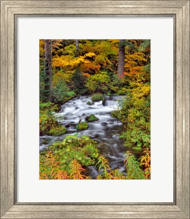 Framed Roaring River Running Through Oregon Print