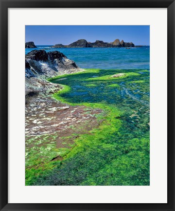 Framed Rock Formations And Algae At Seal Rock, Oregon Print