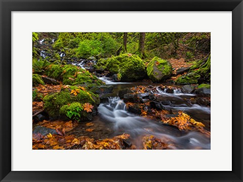 Framed Autumn Color Along Starvation Creek Falls In, Oregon Print