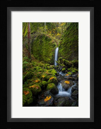 Framed Mossy Grotto Falls, Oregon Print