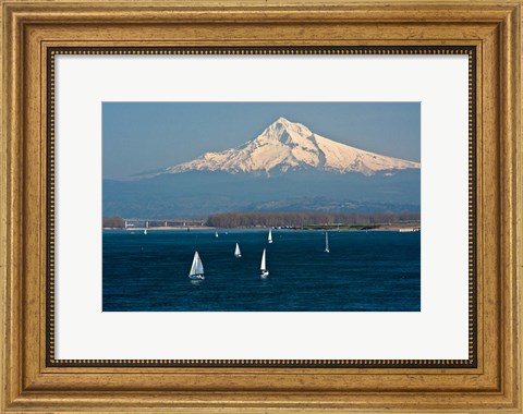 Framed Sailboats On The Columbia River, Oregon Print
