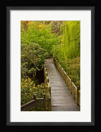 Framed Bridge At Crystal Springs Rhododendron Garden, Portland, Oregon Print