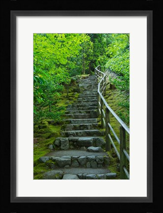 Framed Summer Staris In The Portland Japanese Garden, Oregon Print