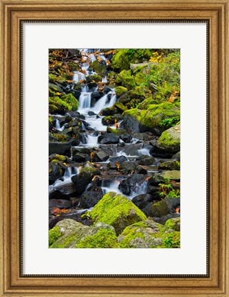 Framed Starvation Creek Falls In Autumn, Columbia Gorge Oregon Print