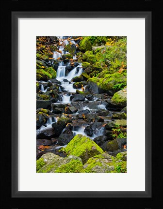 Framed Starvation Creek Falls In Autumn, Columbia Gorge Oregon Print