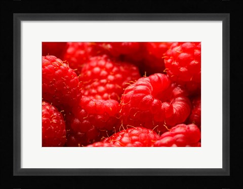 Framed Close-Up Of Fresh Raspberries Print