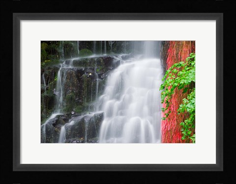 Framed Coopey Falls, Oregon Print