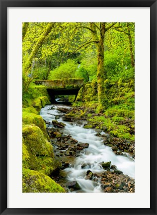 Framed Wahkeena Falls, Oregon Print