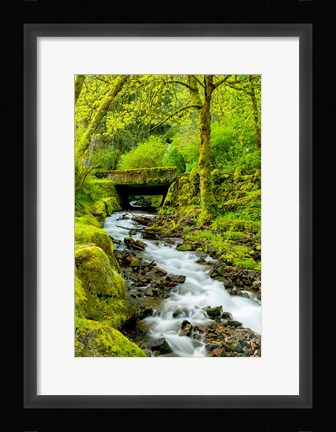 Framed Wahkeena Falls, Oregon Print