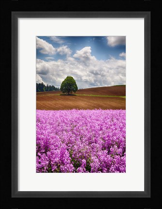 Framed Willamette Valley Of Oregon Print