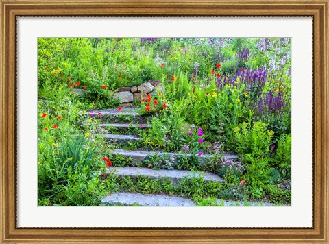 Framed Summer Flowers On Stairs In Pennsylvania Print