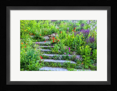 Framed Summer Flowers On Stairs In Pennsylvania Print