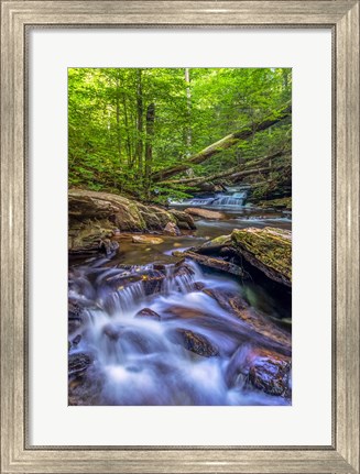 Framed Kitchen Creek Cascade, Pennsylvania Print