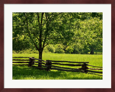 Framed Old Wooden Fence In Cades Cove Print
