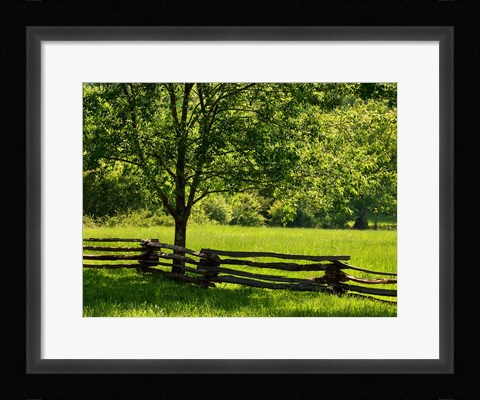 Framed Old Wooden Fence In Cades Cove Print