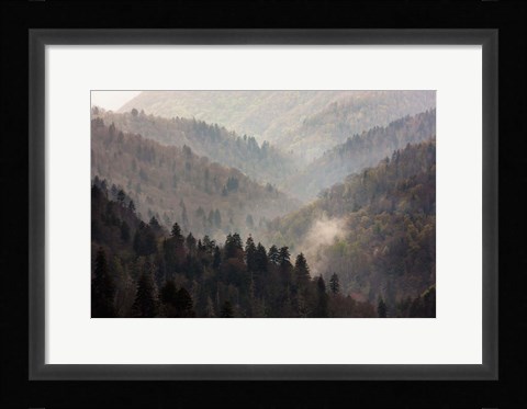 Framed Mist Rises In A Valley Of Tree-Lined Ridges Print