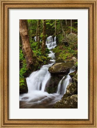 Framed Cascade Along The Little River Print