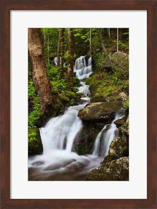 Framed Cascade Along The Little River Print