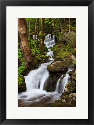 Framed Cascade Along The Little River Print